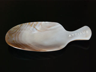 Attilus Caviar Mother of Pearl Dish